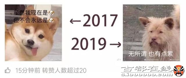 2017-2019，是个什么梗？