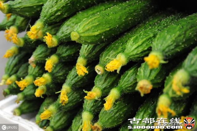 黄瓜之所以叫黄瓜不叫绿瓜，原来是出自历史典故的，你了解吗？